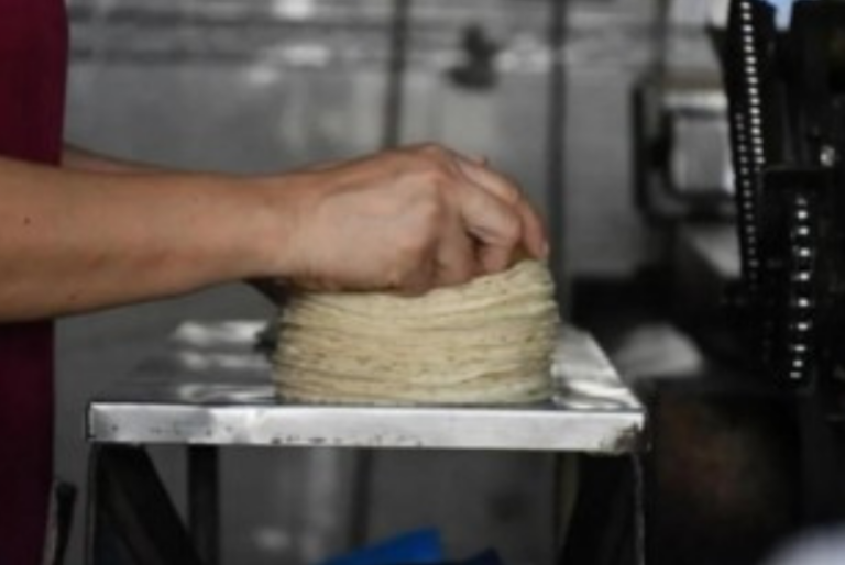 En febrero, aumentará el kilo de tortilla en Yucatán