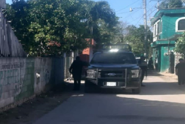 Descubren a un perro paseando con mano humano en Chemax, Yucatán