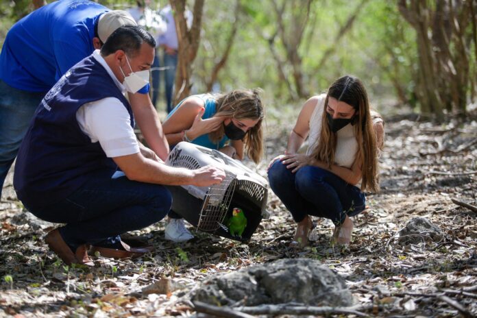 fauna silvestre 2022-03-22 at 4.07.24 PM