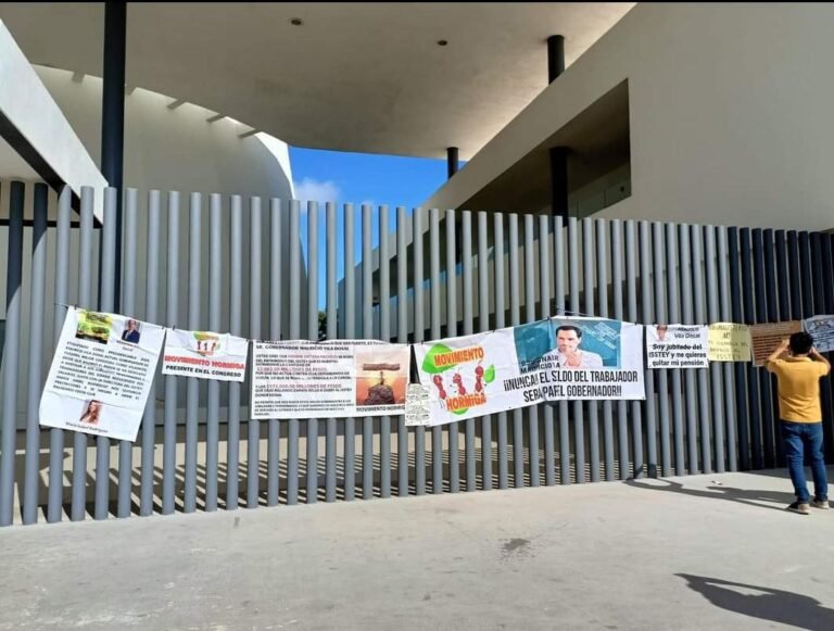 Borrador automático