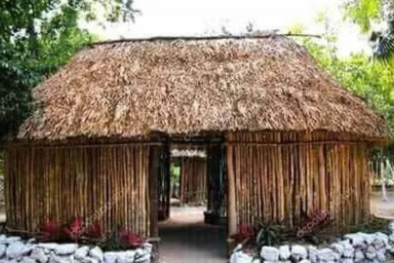 Mi diario y yo (24) / Los vritti