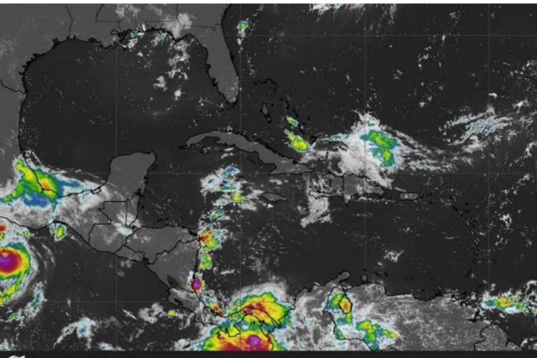 Borrador automático