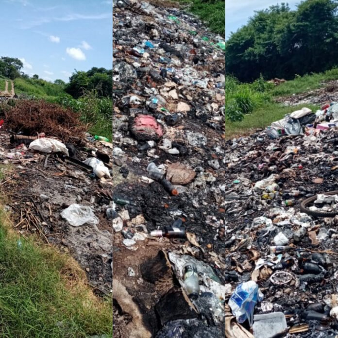 InShot_20220721_165155766