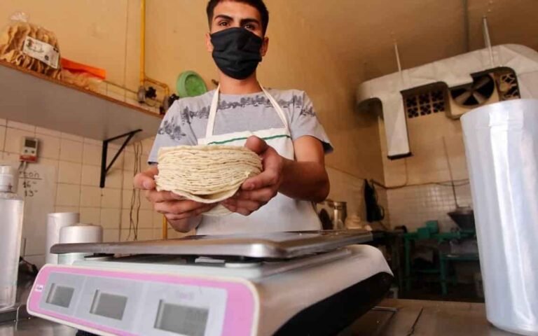 A 28 pesos el kilo de tortilla, a partir de agosto