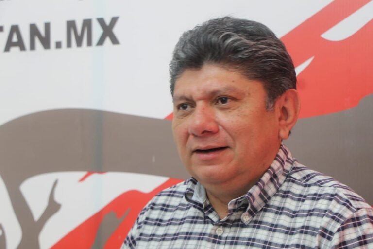 El excesivo cobro de las placas no tiene nada que ver con la seguridad