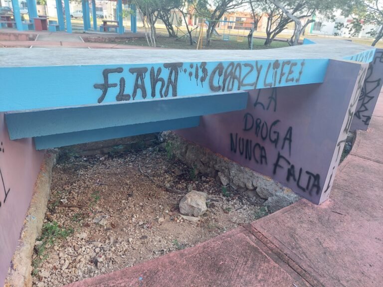 ¡ABANDONADOS! SSP y Vila descuidan seguridad en Caucel