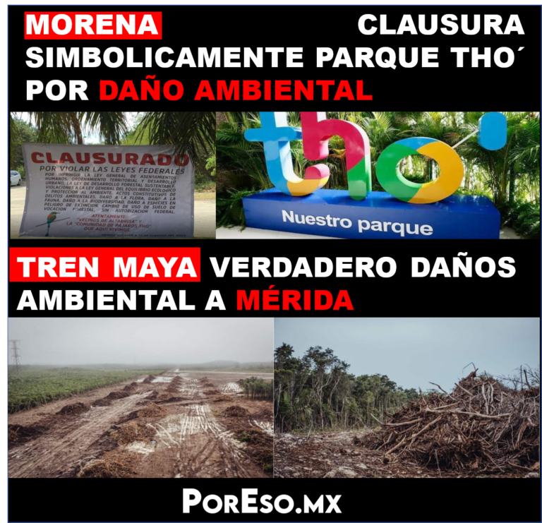 ¡HIPÓCRITAS! Morena atacan parque Tho´ por presunto daño ambiental, pero defienden como chupa trusas el proyecto Ecocida del Tren Maya
