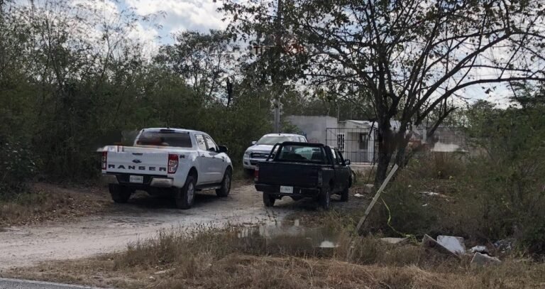 FEMINICIDIO EN TIXKOKOB, MUJER HABRÍA SIDO GOLPEADA CON UNA PIEDRA