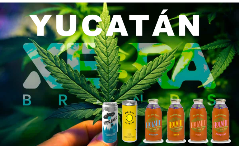 CONVERTIRÁN A YUCATÁN EN EL PRINCIPAL PRODUCTOR DE CANNABIS A NIVEL NACIONAL.  Gobierno Federal autorizó a empresa canadiense su cultivo y venta de productos que ponen en riesgo a los jóvenes (conoce los productos)