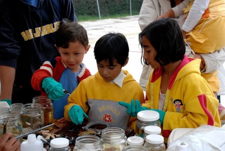 Presentan la edición 75 de la Gaceta Siidetey con 17 artículos científicos sobre biodiversidad, tecnología y cultura maya