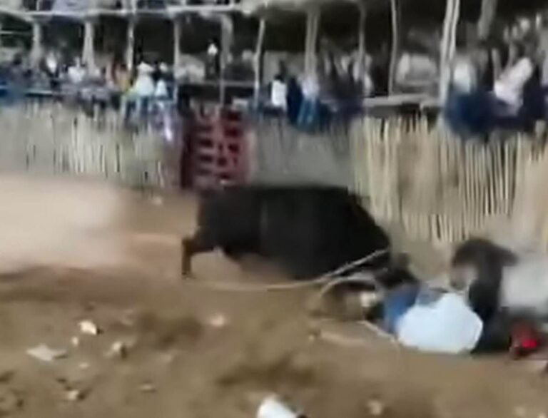 Toro embiste a joven vaquero durante corrida en Buctzotz; termina hospitalizado