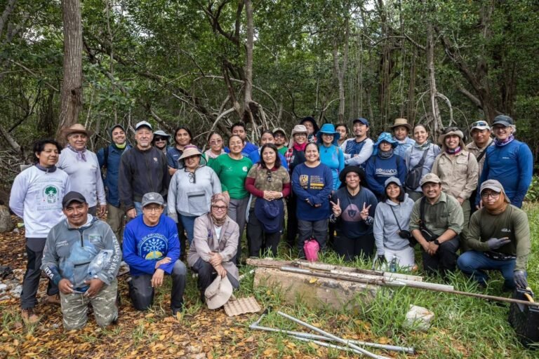 Impulsan red regional para proteger manglares y ecosistemas costeros en Yucatán
