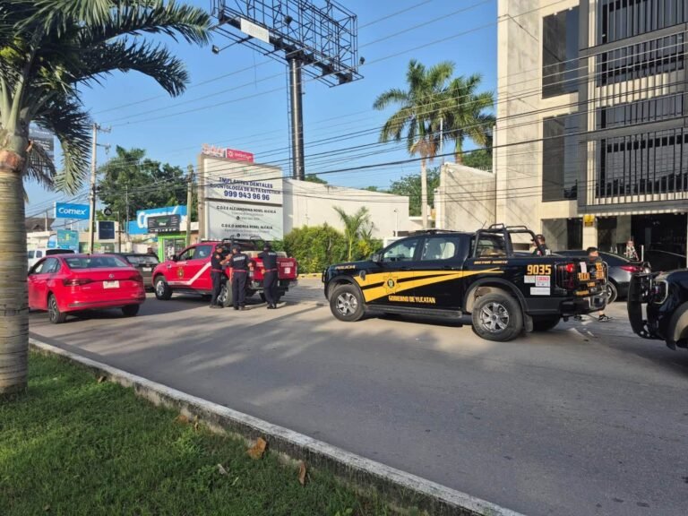 Capturan a perro tras ataques a varias personas en la colonia Maya; SSP busca al propietario