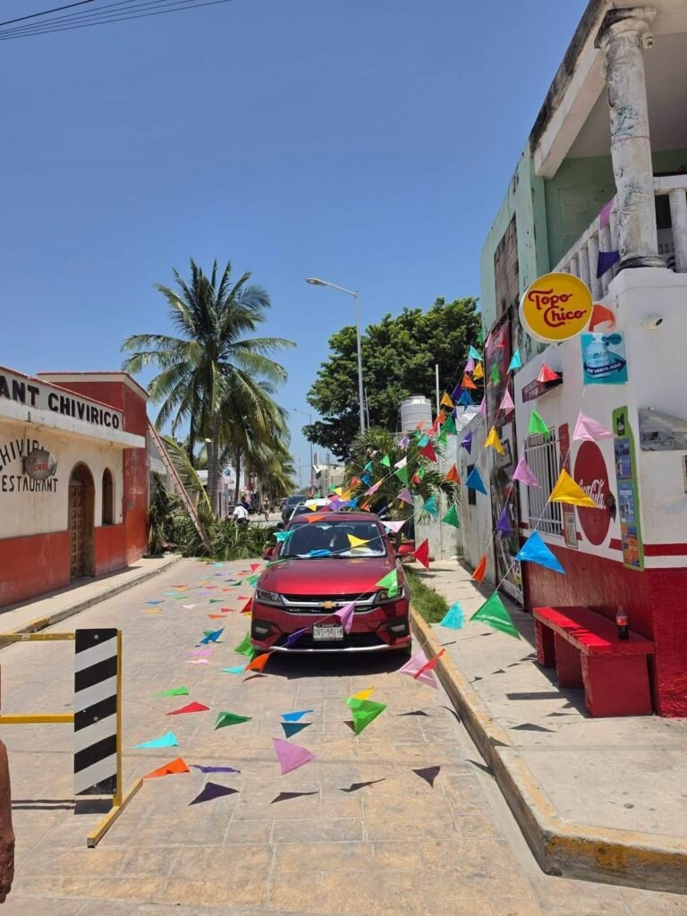 Indignación en Celestún por tala de palmeras en acceso a la playa; ciudadanos piden investigar
