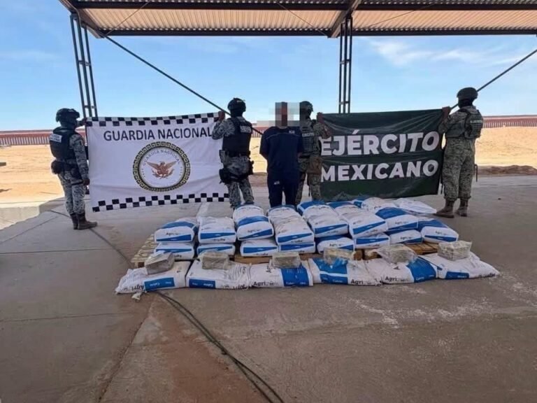 Decomisan más de 400 kilos de cristal y 19 de fentanilo en Sonora; hay un detenido