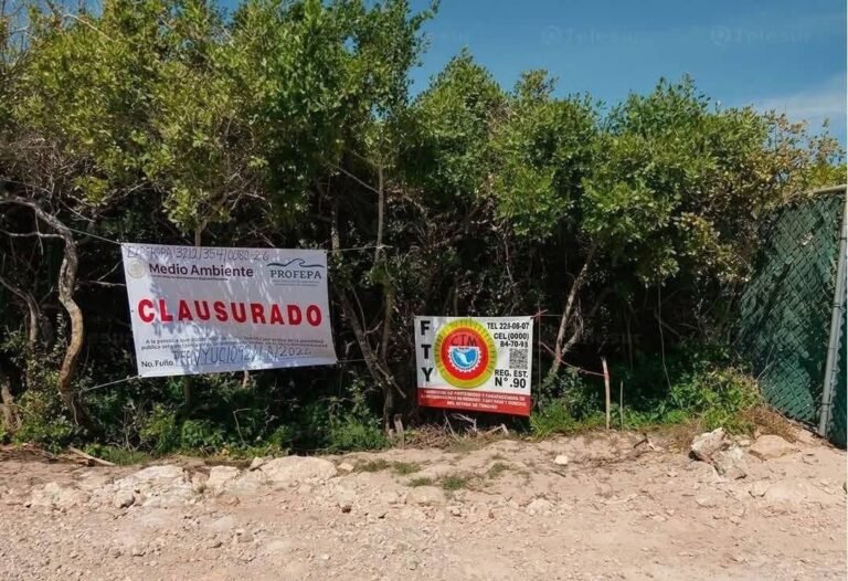 Profepa suspende obras de desarrollo inmobiliario en Chuburná; investigan posible afectación a dunas costeras