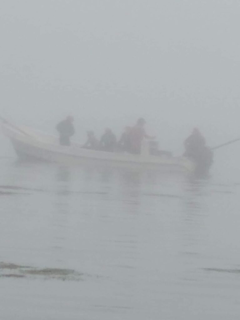 Pescadores denuncian saqueo del pulpo en Dzilam de Bravo; acusan uso de cloro y pesca furtiva
