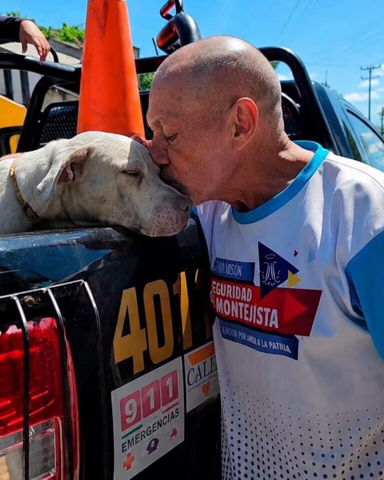 Una despedida entre lágrimas: dueño entrega a su perro tras ataque en la Bojórquez
