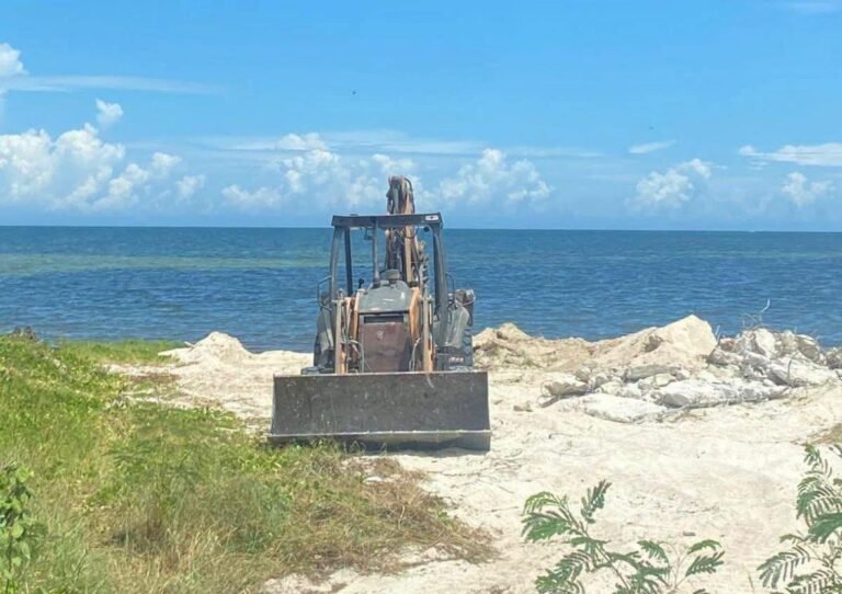 ALERTA AMBIENTAL EN CHABIHAU: DENUNCIAN DAÑO A DUNAS CON MAQUINARIA PESADA