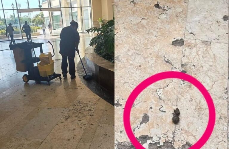 Otra vez en Isla Mérida: denuncian a dueños de perrito por dejar sus heces en la plaza