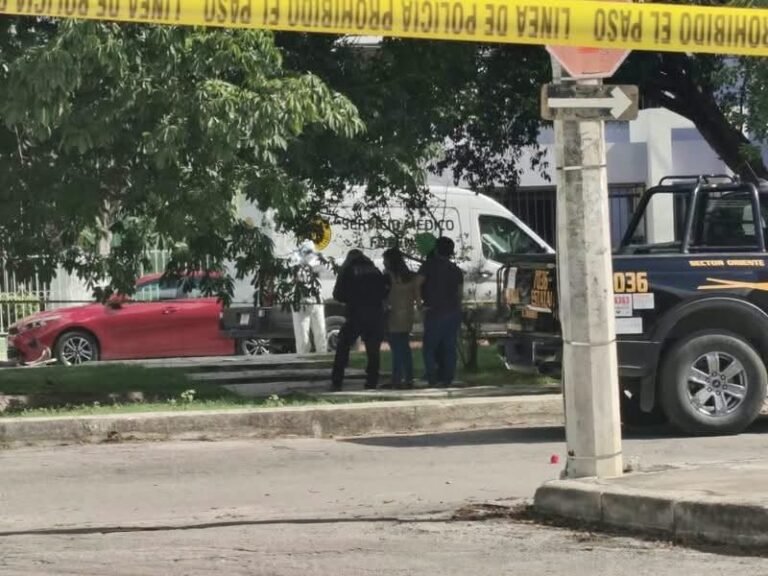 Ataque de abejas en Brisas termina en tragedia y moviliza a cuerpos de emergencia en Mérida